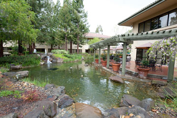pond